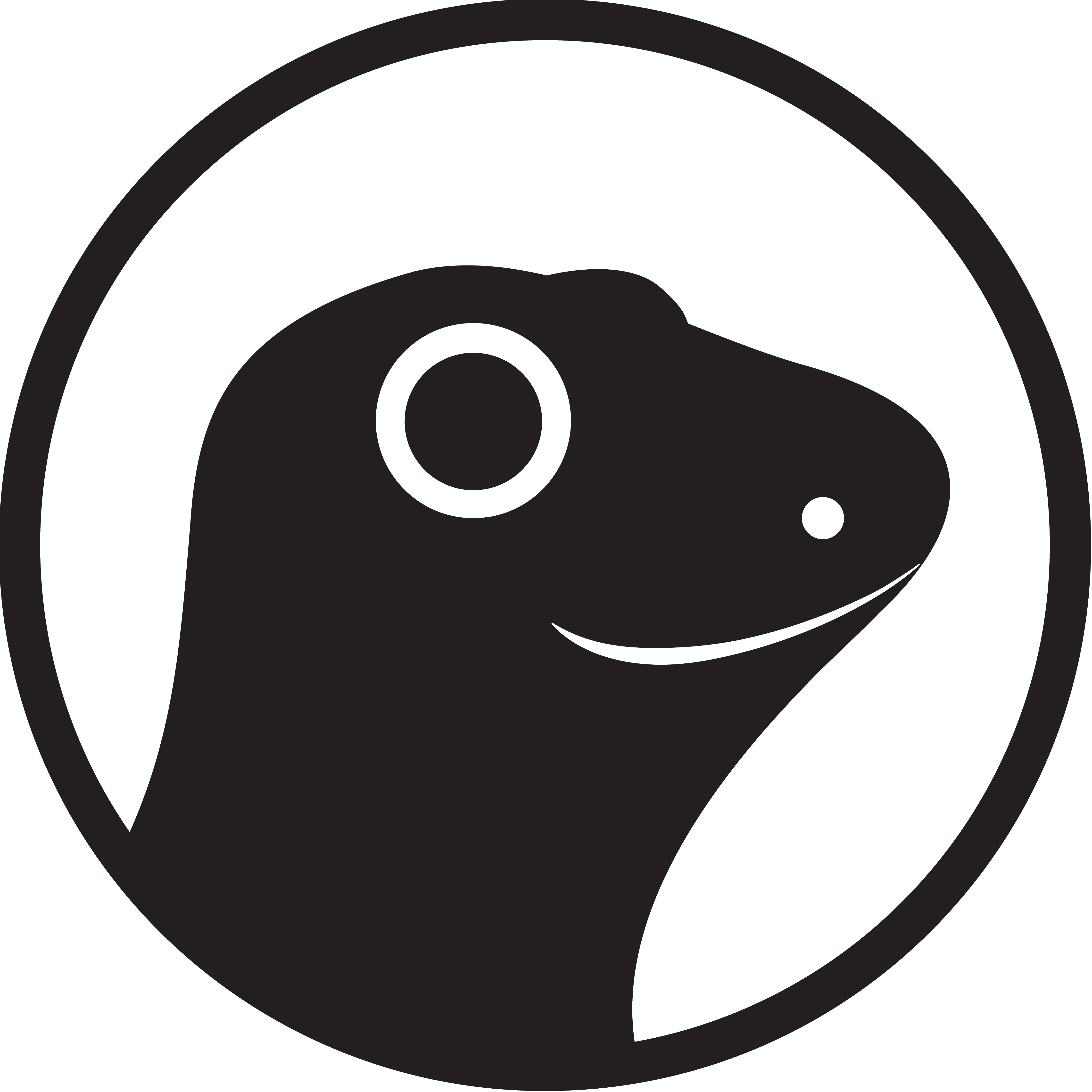 $SKELSUI on CoinGecko